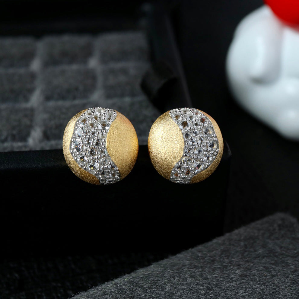 Pave Strip Brushed Earrings 6416